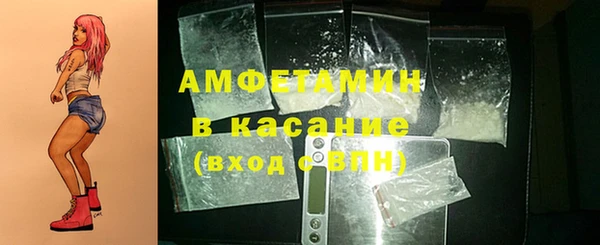 гашик Алексеевка