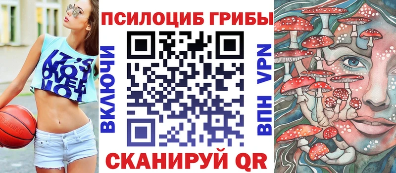 Псилоцибиновые грибы Magic Shrooms  где купить наркотик  Чусовой 