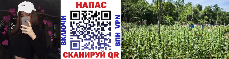 Конопля AK-47 Чусовой